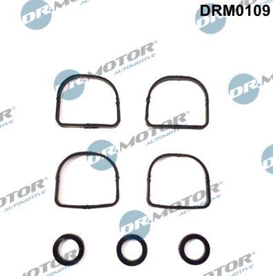Gasket Set, intake manifold Dr.Motor Automotive DRM0109