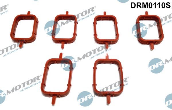 Dr.Motor Automotive DRM0110S Gasket Set, intake manifold