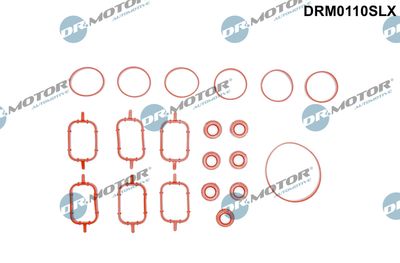 Gasket Set, intake manifold Dr.Motor Automotive DRM0110SLX