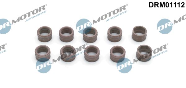 Dr.Motor Automotive DRM01112 Repair Kit, air conditioning