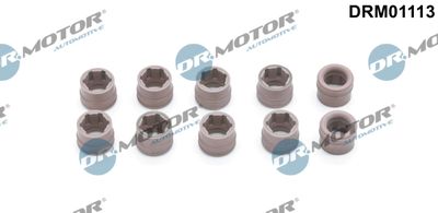 Repair Kit, air conditioning Dr.Motor Automotive DRM01113
