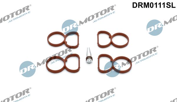 Dr.Motor Automotive DRM0111SL Gasket Set, intake manifold
