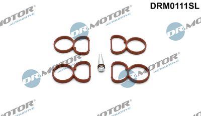 Gasket Set, intake manifold Dr.Motor Automotive DRM0111SL