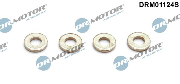 Dr.Motor Automotive DRM01124S Seal Kit, injector nozzle