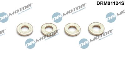 Seal Kit, injector nozzle Dr.Motor Automotive DRM01124S