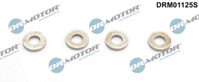Seal Kit, injector nozzle Dr.Motor Automotive DRM01125S