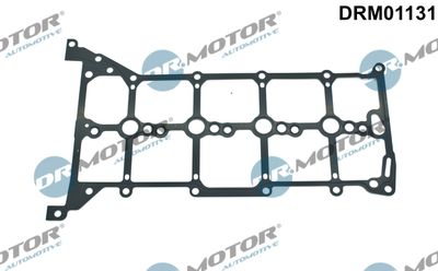 Gasket, cylinder head cover Dr.Motor Automotive DRM01131