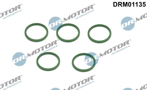 Dr.Motor Automotive DRM01135 Seal Ring, charge air hose