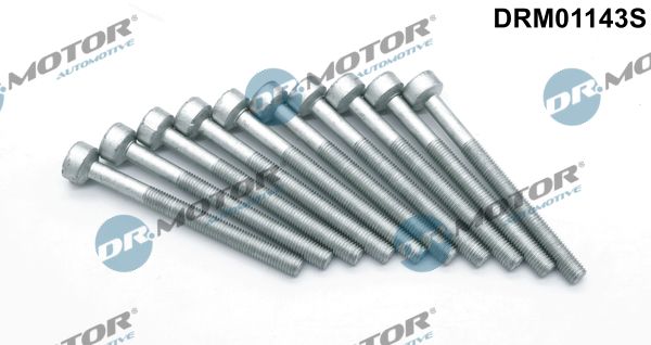 Dr.Motor Automotive DRM01143S Screw, injection nozzle holder