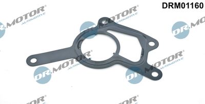 Gasket, vacuum pump Dr.Motor Automotive DRM01160