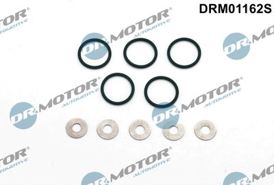 Seal Kit, injector nozzle Dr.Motor Automotive DRM01162S