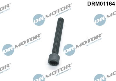 Screw, injection nozzle holder Dr.Motor Automotive DRM01164