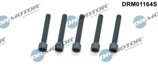 Dr.Motor Automotive DRM01164S Screw, injection nozzle holder