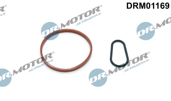 Dr.Motor Automotive DRM01169 Seal Set, vacuum pump
