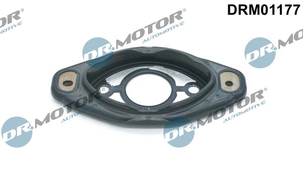 Dr.Motor Automotive DRM01177 Seal, camshaft adjustment