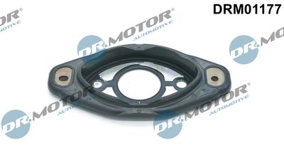 Seal, camshaft adjustment Dr.Motor Automotive DRM01177
