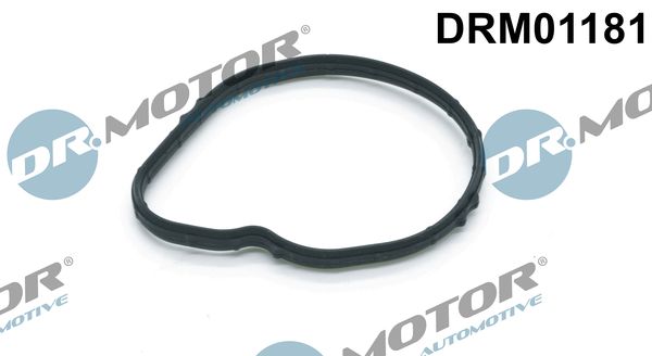 Dr.Motor Automotive DRM01181 Seal, thermostat
