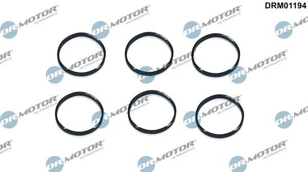 Dr.Motor Automotive DRM01194 Seal Ring, spark plug shaft