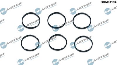 Seal Ring, spark plug shaft Dr.Motor Automotive DRM01194