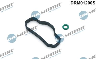 Gasket Set, cylinder head cover Dr.Motor Automotive DRM01200S