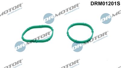 Gasket Set, intake manifold Dr.Motor Automotive DRM01201S