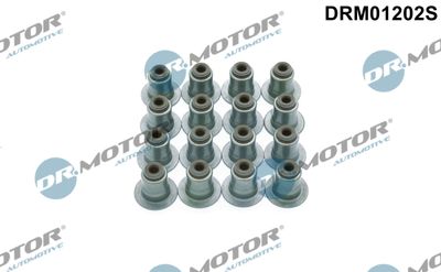 Seal Set, valve stem Dr.Motor Automotive DRM01202S