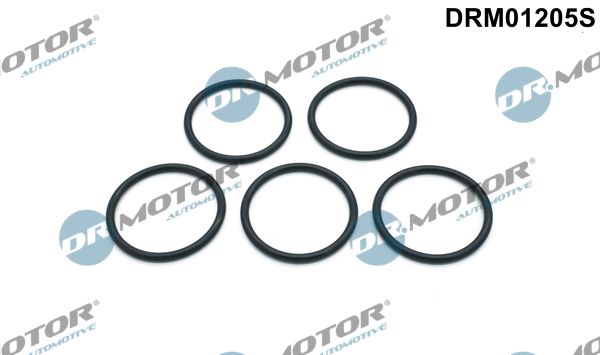 Dr.Motor Automotive DRM01205S Gasket Set, water pump