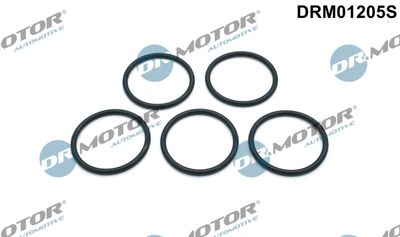 Gasket Set, water pump Dr.Motor Automotive DRM01205S