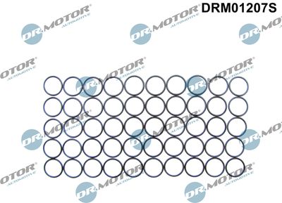Seal Ring, nozzle holder Dr.Motor Automotive DRM01207S