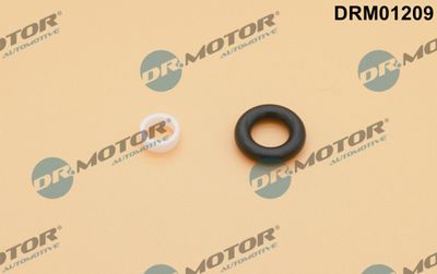 Seal Kit, injector nozzle Dr.Motor Automotive DRM01209