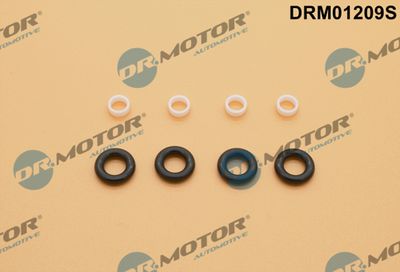 Seal Kit, injector nozzle Dr.Motor Automotive DRM01209S