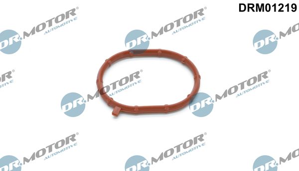 Dr.Motor Automotive DRM01219 Seal Ring, charger