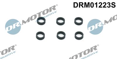 Seal Ring, nozzle holder Dr.Motor Automotive DRM01223S