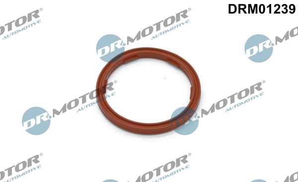 Dr.Motor Automotive DRM01239 Seal Ring, engine oil level sensor