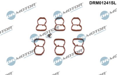 Repair Kit, intake manifold module Dr.Motor Automotive DRM01241SL