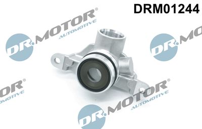 Valve, crankcase ventilation Dr.Motor Automotive DRM01244