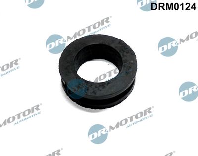 Gasket, crankcase ventilation Dr.Motor Automotive DRM0124