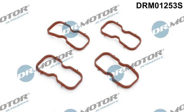 Dr.Motor Automotive DRM01253S Gasket Set, intake manifold