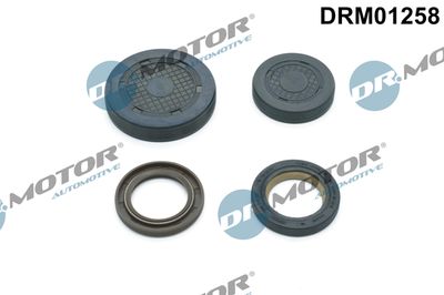Plug, rocker arm shaft mounting bore Dr.Motor Automotive DRM01258