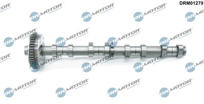 Camshaft Dr.Motor Automotive DRM01279