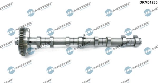 Dr.Motor Automotive DRM01280 Camshaft
