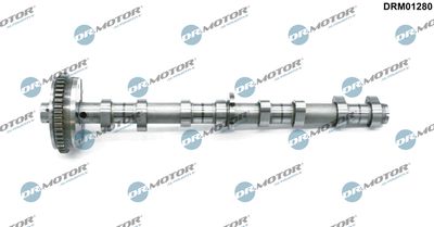 Camshaft Dr.Motor Automotive DRM01280