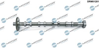 Camshaft Dr.Motor Automotive DRM01281