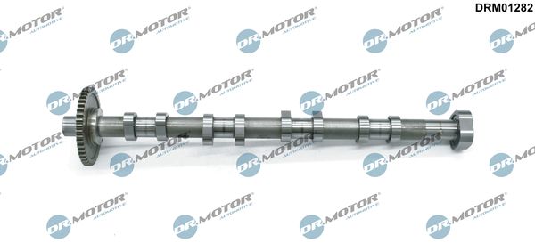 Dr.Motor Automotive DRM01282 Camshaft