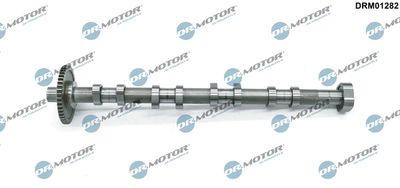 Camshaft Dr.Motor Automotive DRM01282