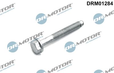 Screw, injection nozzle holder Dr.Motor Automotive DRM01284