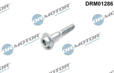Screw, injection nozzle holder Dr.Motor Automotive DRM01286