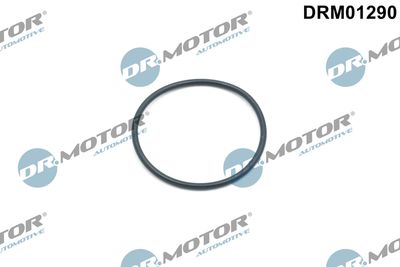 Seal Ring, timing chain tensioner Dr.Motor Automotive DRM01290