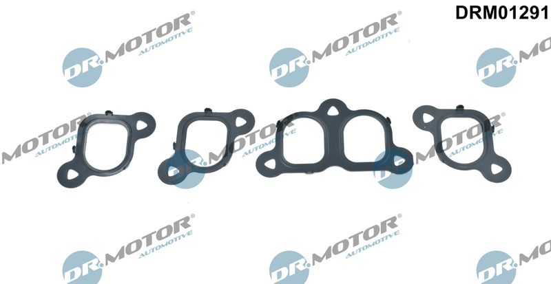 Dr.Motor Automotive DRM01291 Gasket Set, intake manifold