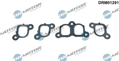 Gasket Set, intake manifold Dr.Motor Automotive DRM01291